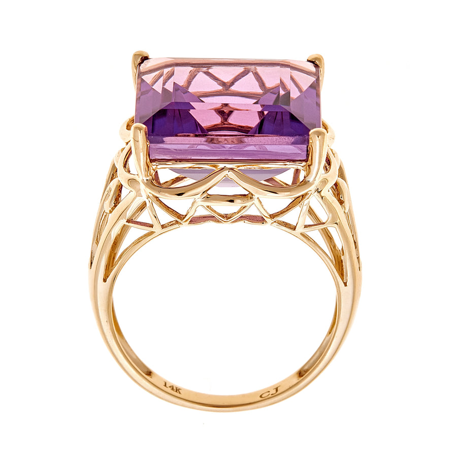 Ashlyn 10K Yellow Gold Princess-Cut Brazilian Amethyst Ring