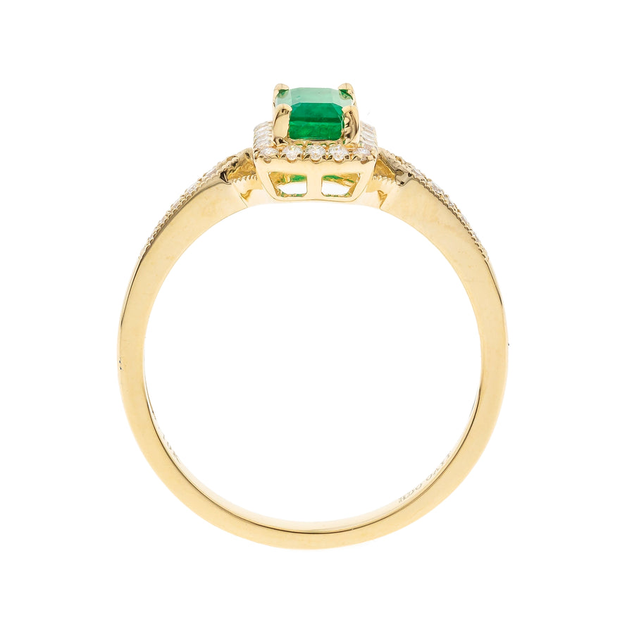 Penelope 10K Yellow Gold Emerald-Cut Emerald Ring